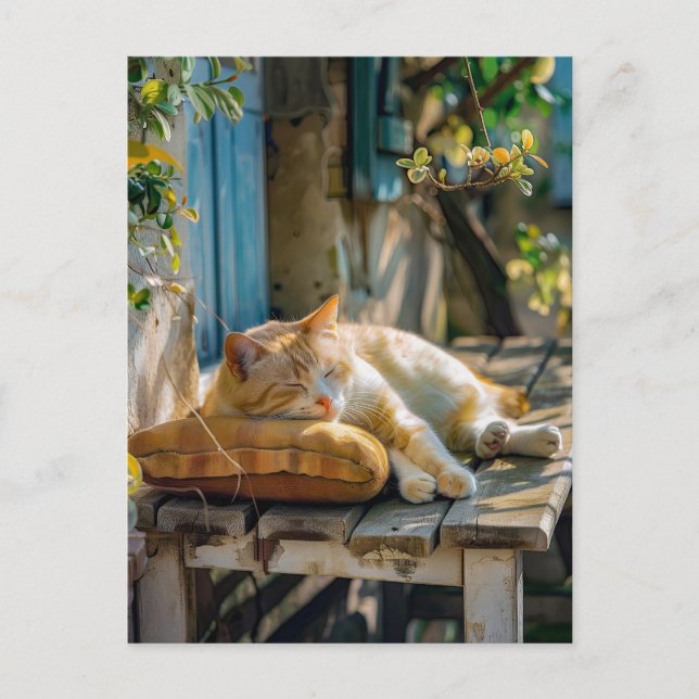 Cozy Cat Sleeping in Garden on Bench Postkarte (Vorderseite)