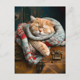 Cozy Cat Sleeping on a wooden box Postkarte