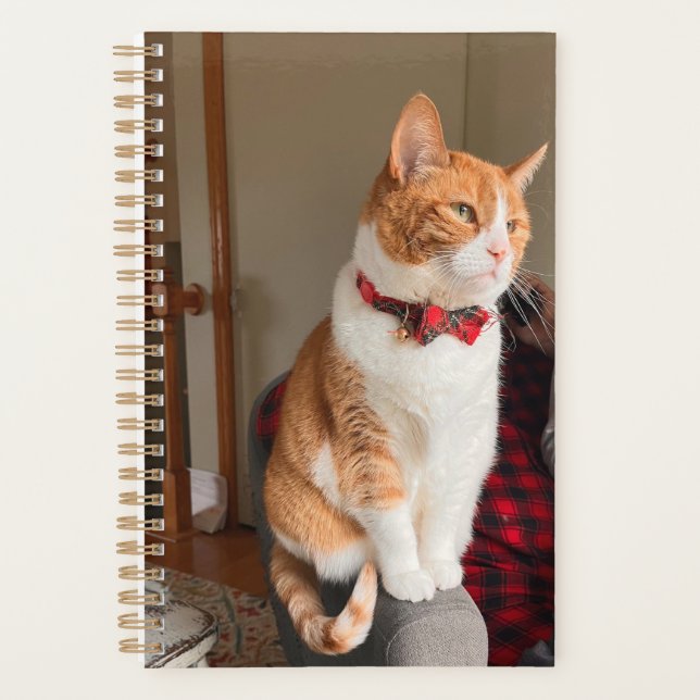 Cozy Orange Tabby Cat Planner Small Planer (Vorderseite)