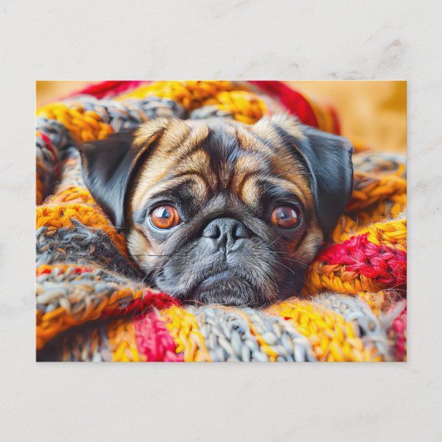 Cozy Pug Wrapped in Knitted Blanket Postkarte (Vorderseite)