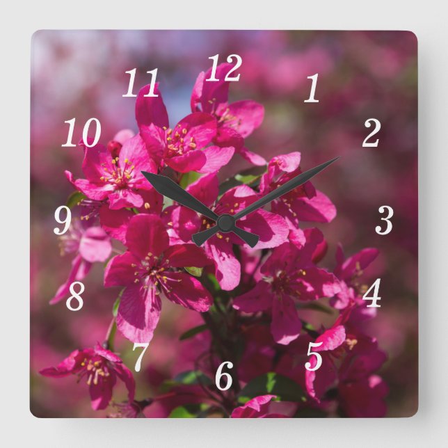 Crab Apple Shadows Wall Clock Quadratische Wanduhr (Vorderseite)