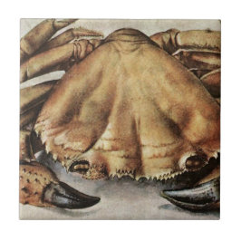 Crab (Creature Under the Sea) (by Albrecht Durer) Fliese