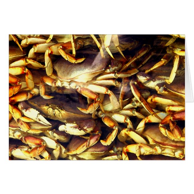 Crab Lover_ (Vorderseite (Horizontal))