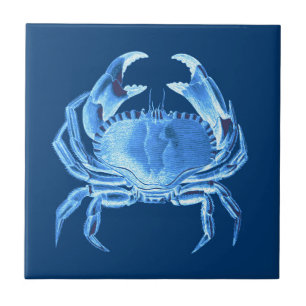 Crab Sea Life Print, Indigo Blue und White Fliese
