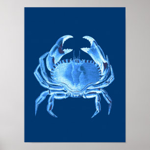 Crab Sea Life Print, Indigo Blue und White Poster