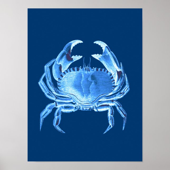 Crab Sea Life Print, Indigo Blue und White Poster (Vorne)