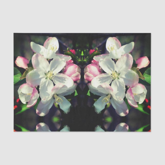 Crabappapapuler Frühlingsblüten Dekoupage der Blum Seidenpapier (Vorderseite)