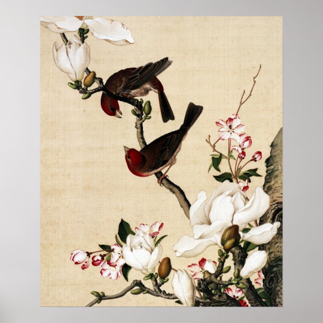Crabappel und Magnolia Kunstwerke Poster (Vorne)