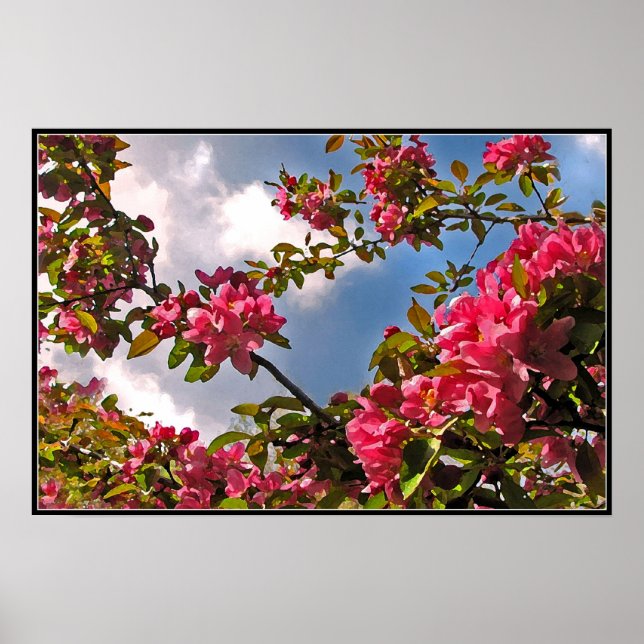 Crabappelblüten Poster (Vorne)