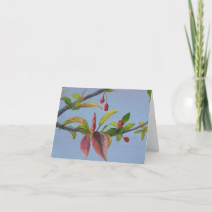 crabapple blossoms karte