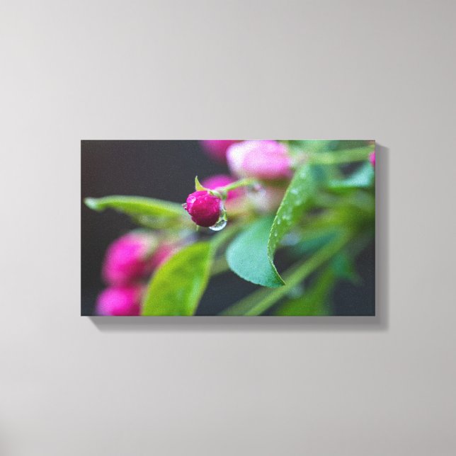 Crabapple Blossum Leinwanddruck (Vorderseite)