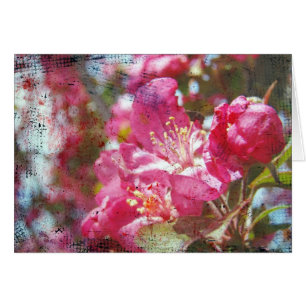 Crabapple blüht Jeden Anlaß Grußkarte