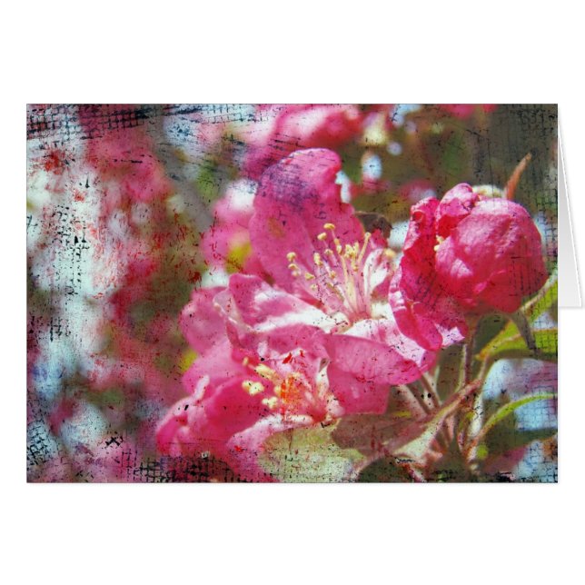 Crabapple blüht Jeden Anlaß Grußkarte (Vorderseite (Horizontal))