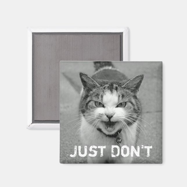 Crabby Cat Magnet (Vorderseite/Rückseite)