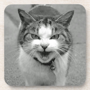 Crabby Cat Untersetzer