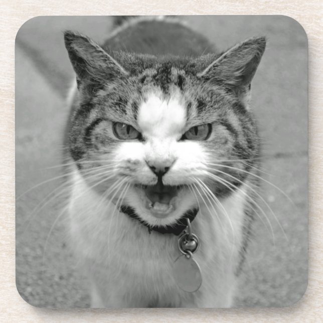 Crabby Cat Untersetzer (Vorderseite)