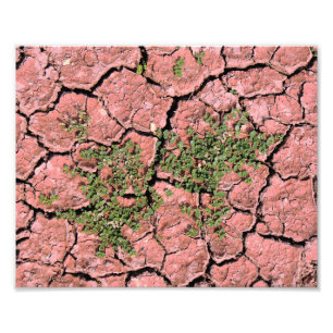 Cracked Earth Cool Textur Fotodruck