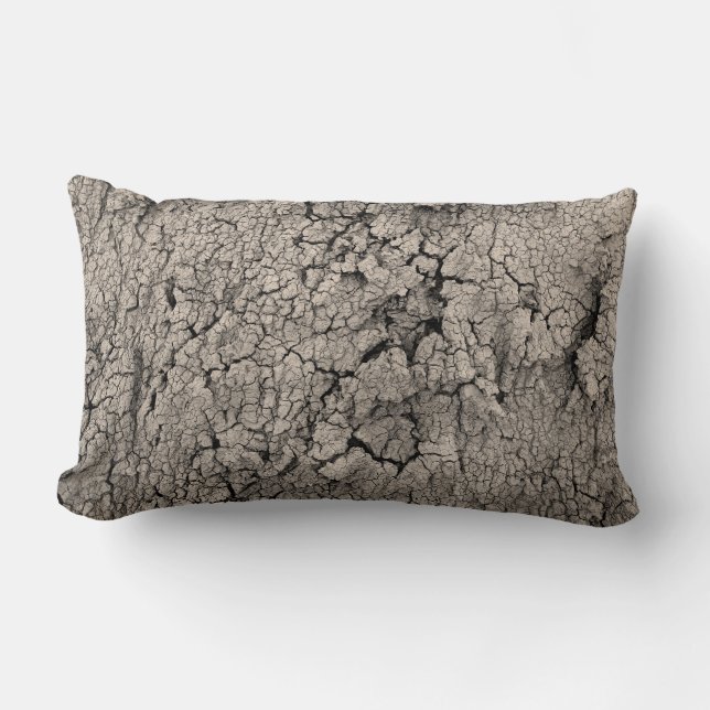 Cracked Earth Cool Textur Lendenkissen (Vorderseite)