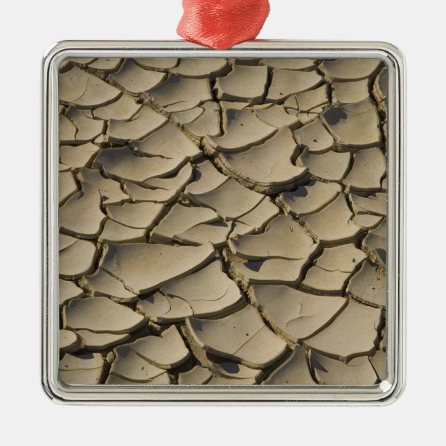 Cracked Mud Formation im Talboden von Silbernes Ornament (Vorne)