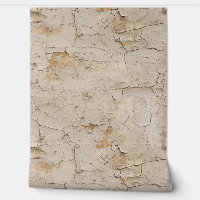 Cracked Textured Painted Stucco Wall