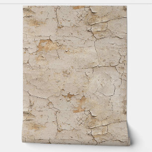 Cracked Textured Painted Stucco Wall Tapete