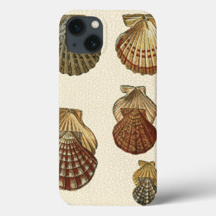 Crackig Antike Muscheln iPhone 13 Hülle