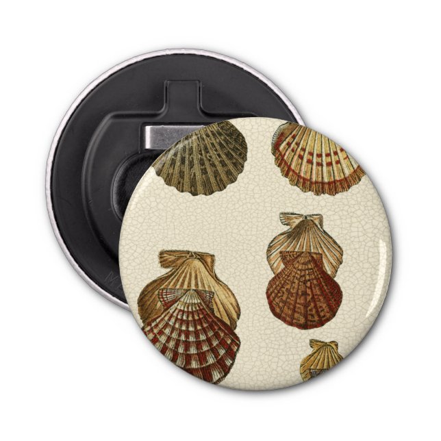 Crackig Antike Muscheln Flaschenöffner (Vorderseite)