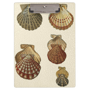 Crackig Antike Muscheln Klemmbrett