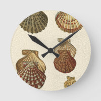 Crackig Antike Muscheln