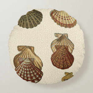 Crackig Antike Muscheln Rundes Kissen