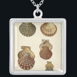 Crackig Antike Muscheln Versilberte Kette<br><div class="desc">Der Künstler Denis Diderot ist begabt und bekannt für seine großartigen Bilder des Meereslebens. In diesem lebendigen Bild fängt er vier gekrackte Conch Muscheln in ihrem natürlichsten Stil ein. Conches werden oft wie diese vier Muscheln geknackt und in einem sepia aussehenden Ton. Holen Sie sich heute Ihr Muschelprodukt und Sie...</div>