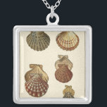 Crackig Antike Muscheln Versilberte Kette<br><div class="desc">Der Künstler Denis Diderot ist begabt und bekannt für seine großartigen Bilder des Meereslebens. In diesem lebendigen Bild fängt er vier gekrackte Conch Muscheln in ihrem natürlichsten Stil ein. Conches werden oft wie diese vier Muscheln geknackt und in einem sepia aussehenden Ton. Holen Sie sich heute Ihr Muschelprodukt und Sie...</div>