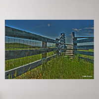 Crag Eyrie Cattle Shoot