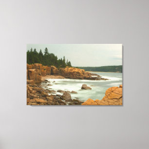 Craggy Coast, Acadia National Park, Maine Leinwanddruck