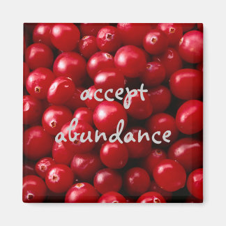 Cranberries akzeptieren Abundanzmagnet Magnet
