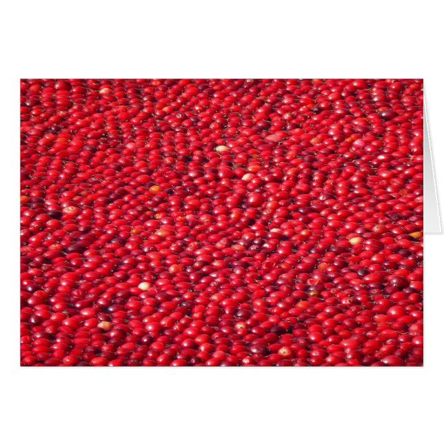 Cranberries Festivals Red (Vorderseite (Horizontal))