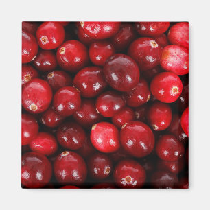 Cranberries Magnet