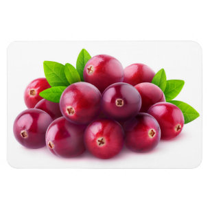 Cranberries Magnet
