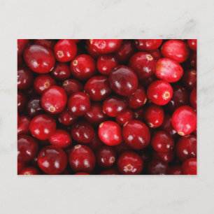 Cranberries Postkarte