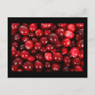 Cranberries Postkarte