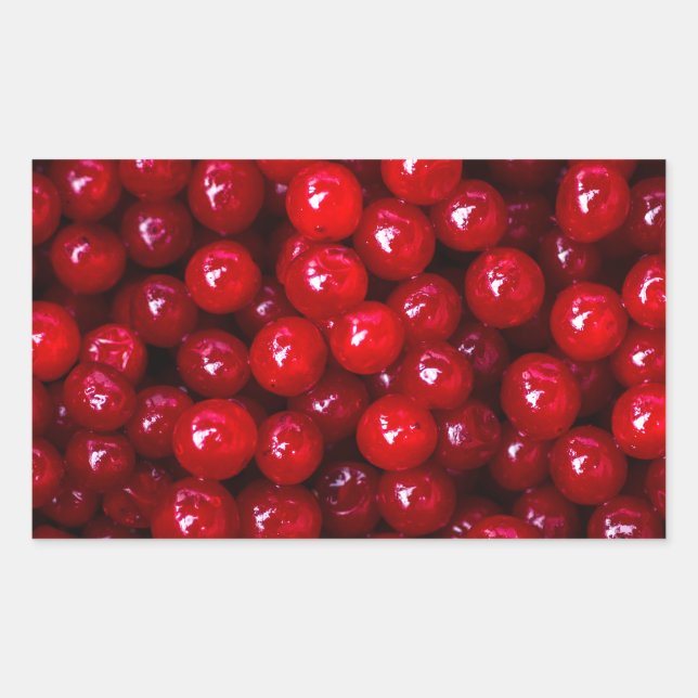 Cranberries Rechteckiger Aufkleber (Vorderseite)