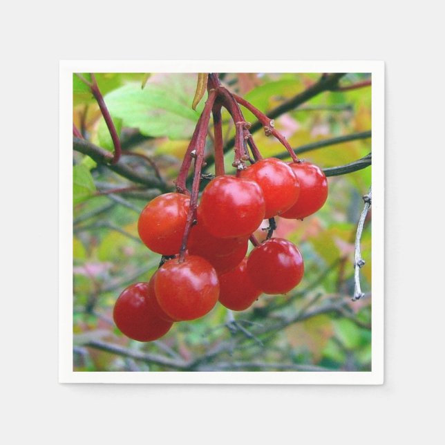 Cranberries Serviette (Vorderseite)