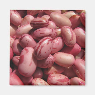 Cranberry Beans Magnet