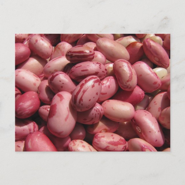 Cranberry Beans Postkarte (Vorderseite)