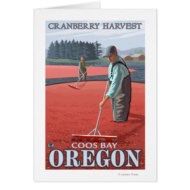 Cranberry Bogs Harvest - Coos Bay, Oregon (Vorne)
