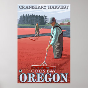 Cranberry Bogs Harvest - Coos Bay, Oregon Poster