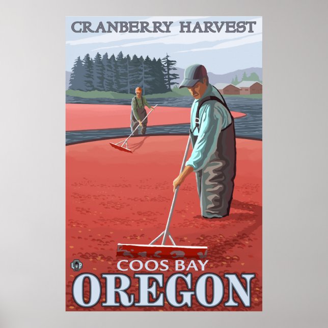 Cranberry Bogs Harvest - Coos Bay, Oregon Poster (Vorne)