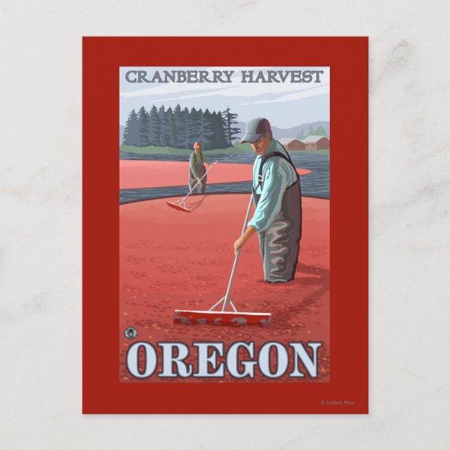 Cranberry Bogs Harvest Vintage Travel Poster Postkarte (Vorderseite)