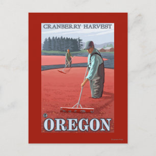 Cranberry Bogs Harvest Vintage Travel Poster Postkarte