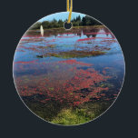Cranberry Farm, Long Beach, Washington Keramik Ornament<br><div class="desc">Blick auf übrig gebliebene Cranberries,  die noch nicht von einem Moor auf einem Cranberry-Bauernhof in Long Beach,  Washington geerntet wurden. Foto wurde im Oktober 2017 aufgenommen.</div>